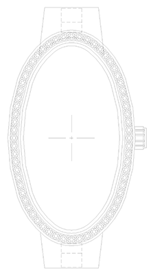 oval case